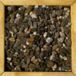 Галька крымская