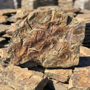 Камень желтый дракон